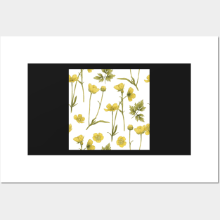 Buttercup summer small flower on white Posters and Art